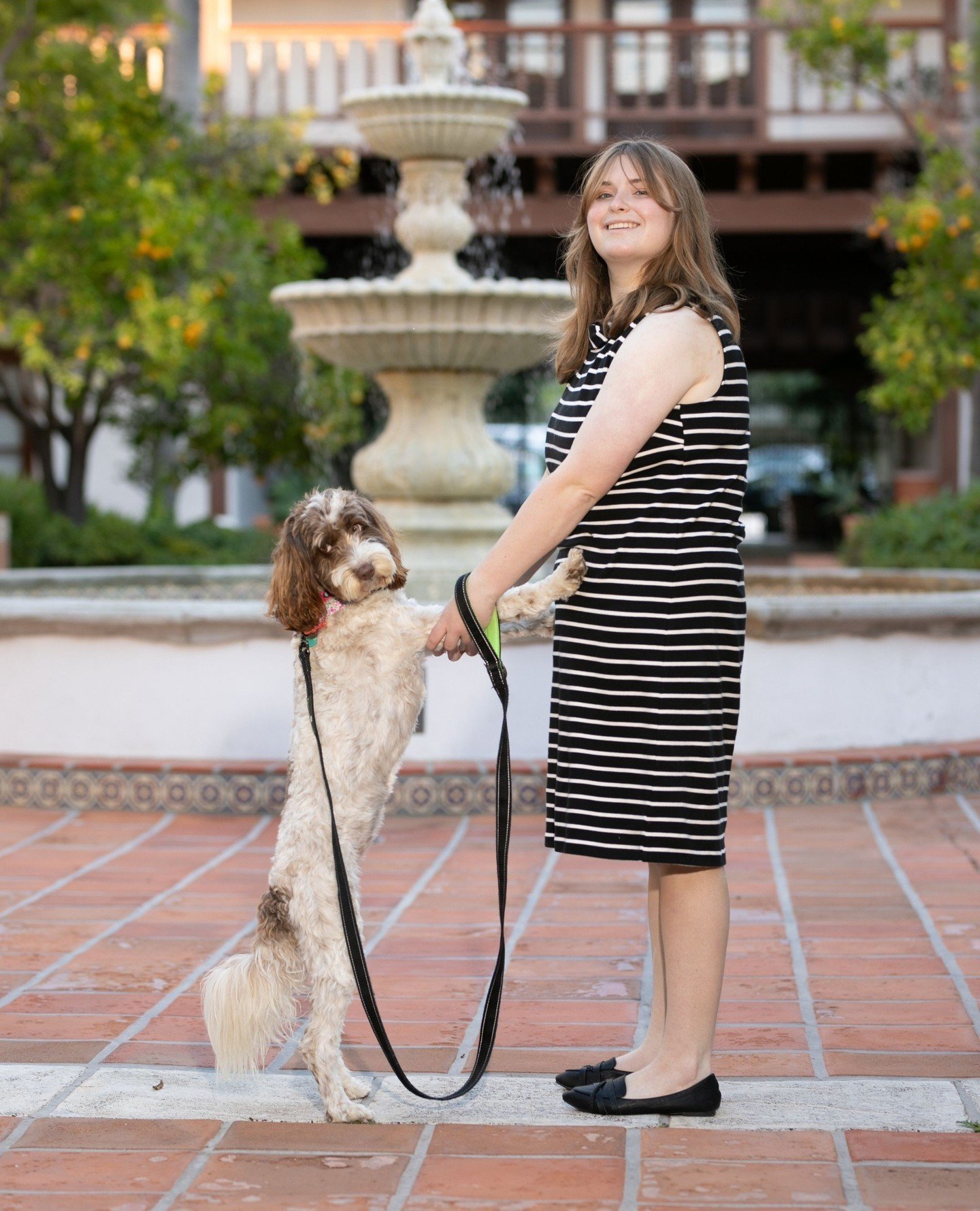 More pets!! Our courtyard allows them as long as they are on leash and well behaved. Humans optional.