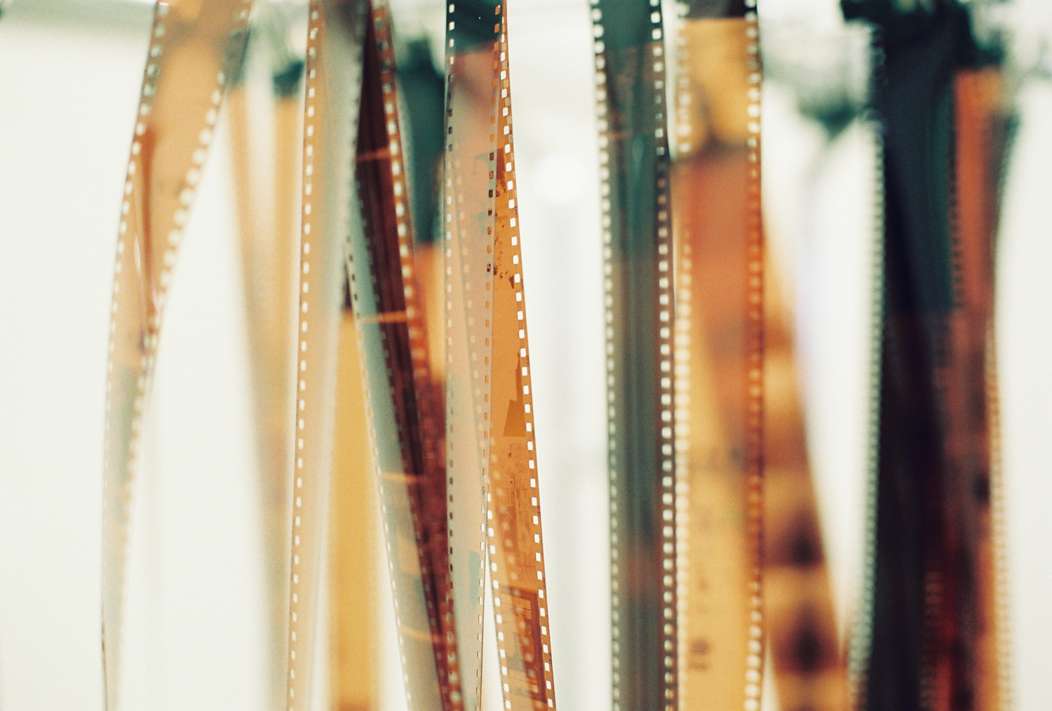 Pellicule 35mm - Mori Film Lab