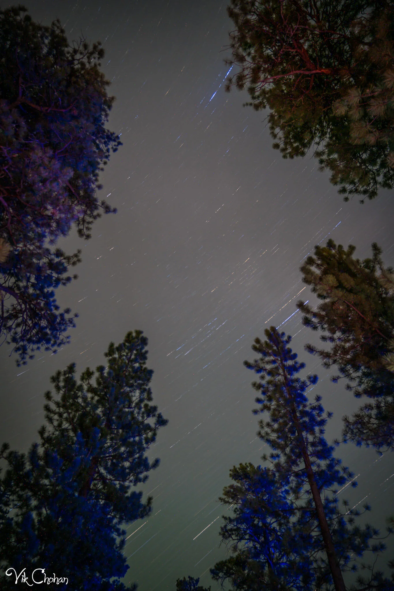 2021-07-11-Panguitch-Lake-Vacation-Day-2-Vik-Chohan-Photography-Photo-Booth-Social-Media-VCP-137.jpg