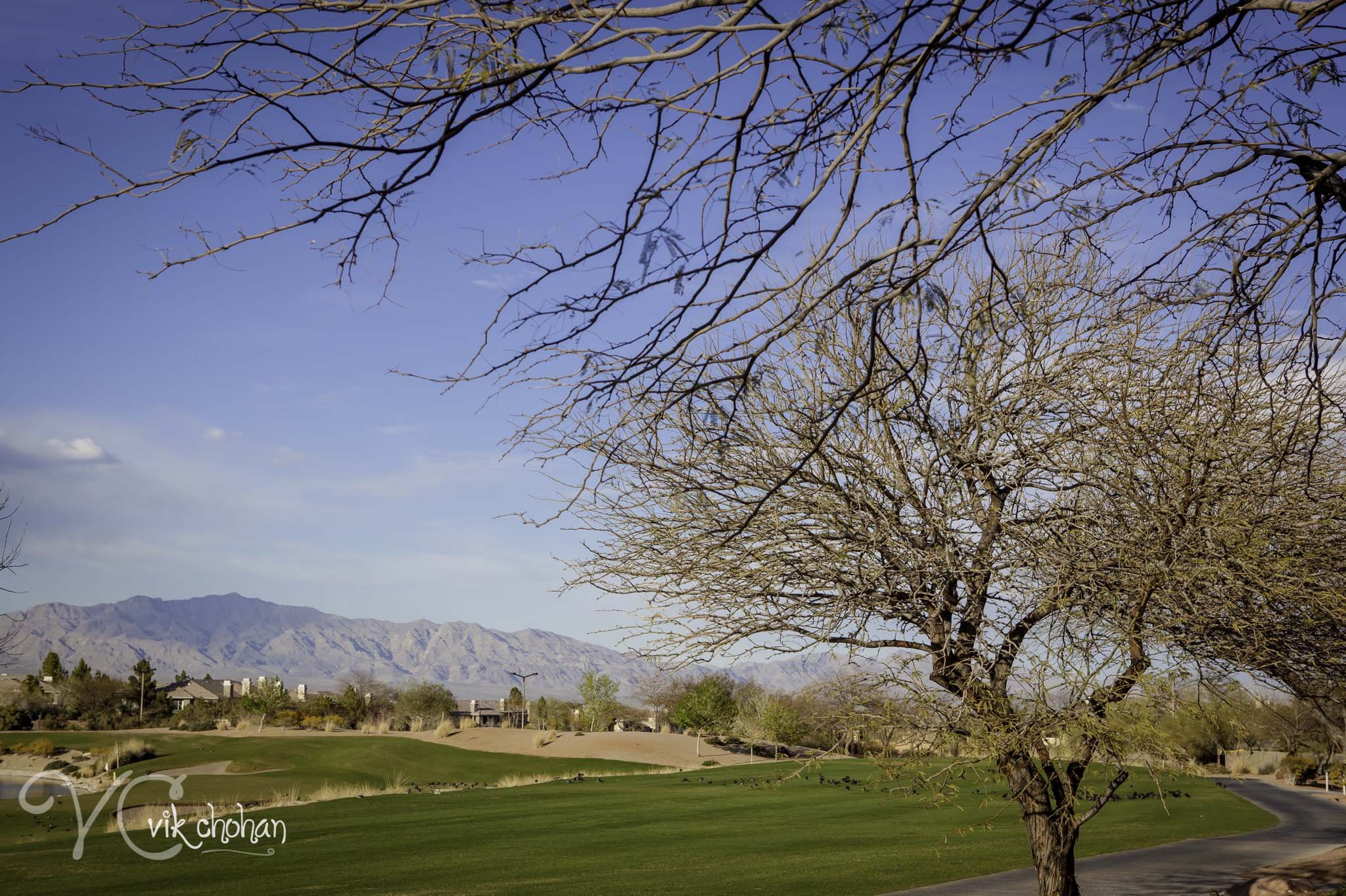 2014-03-13-WHERE_invite_TPC-079.jpg
