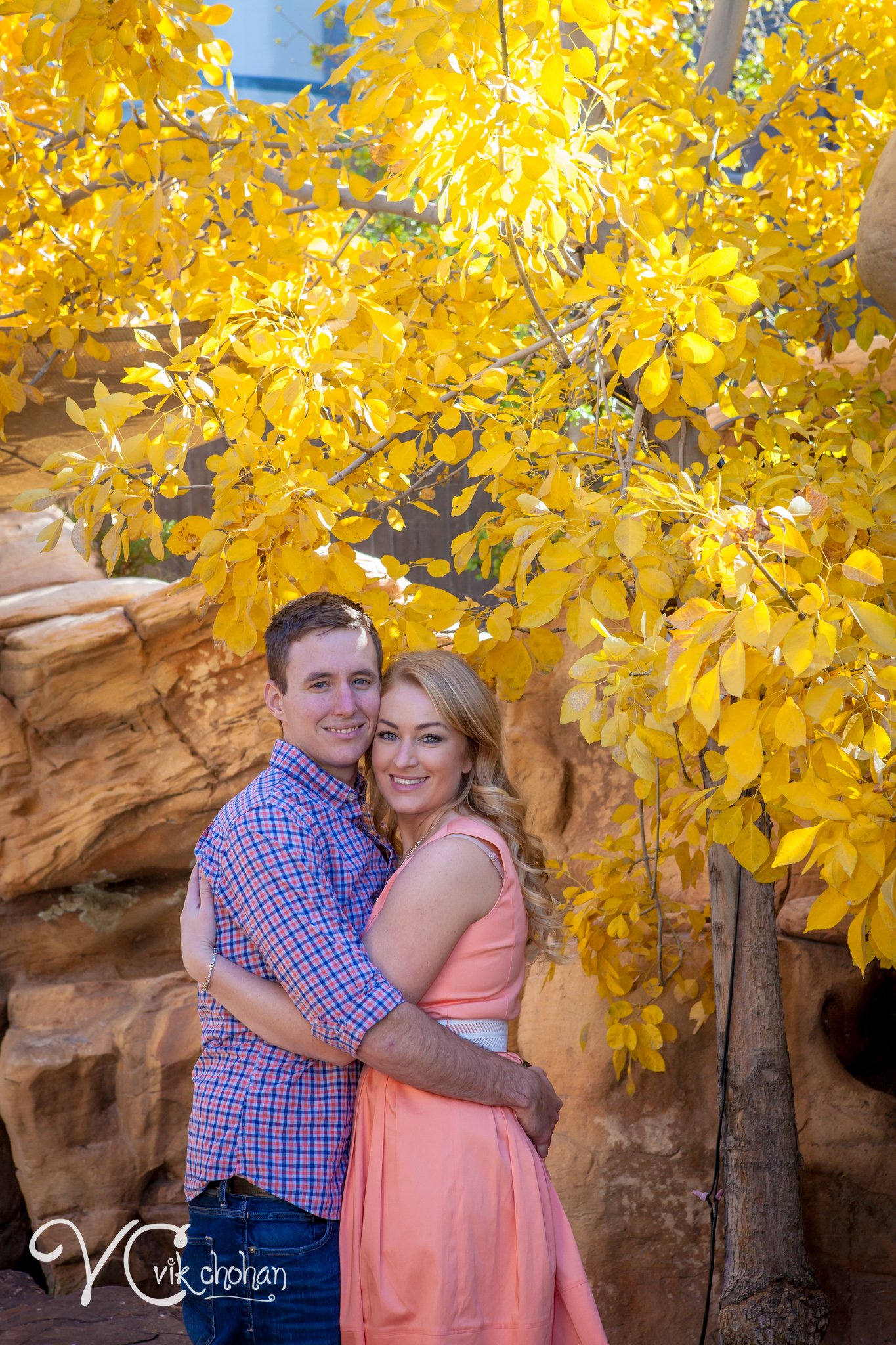 Rachel_&_Travis_Engagement-Vik-Chohan-146.jpg