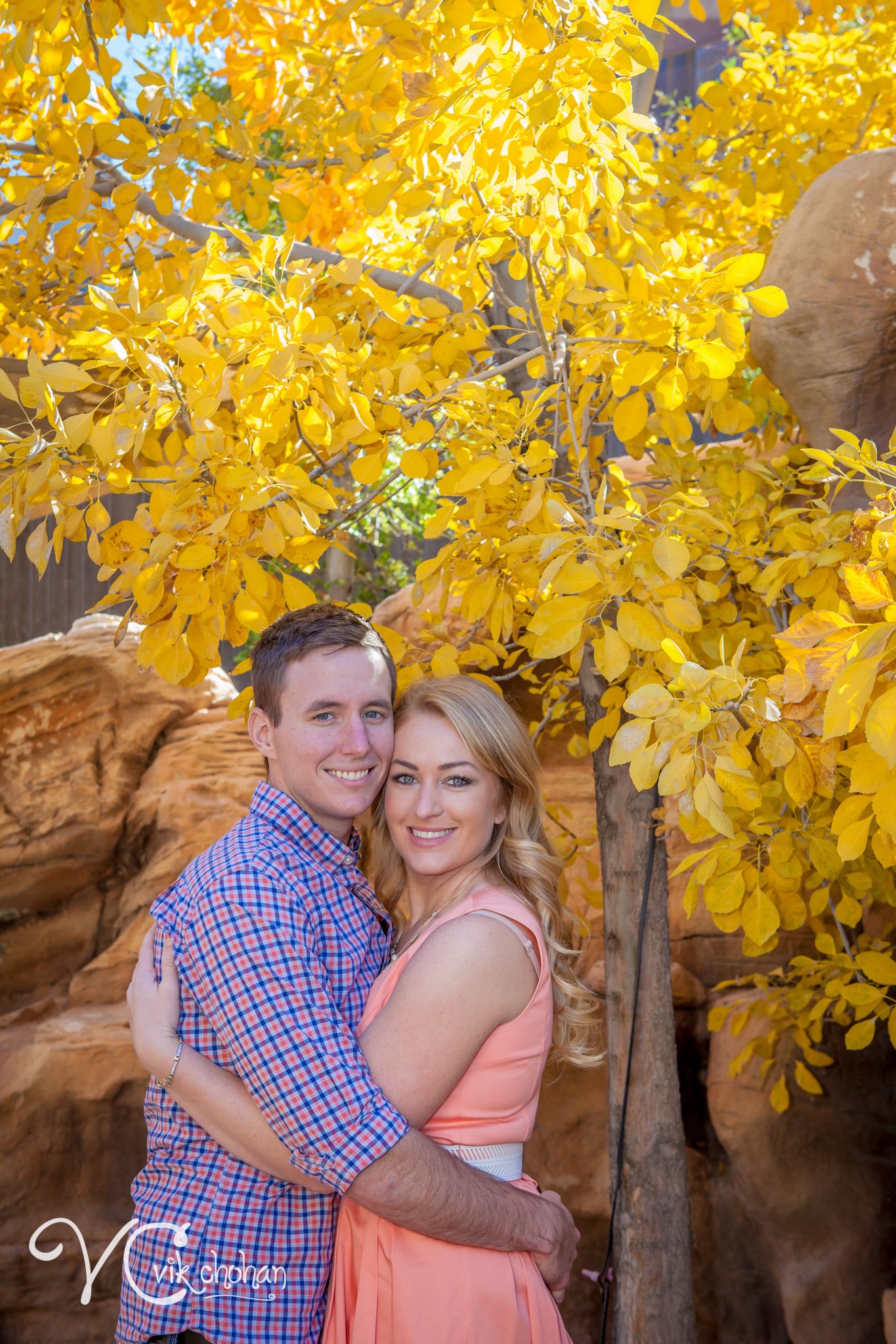 Rachel_&_Travis_Engagement-Vik-Chohan-147.jpg