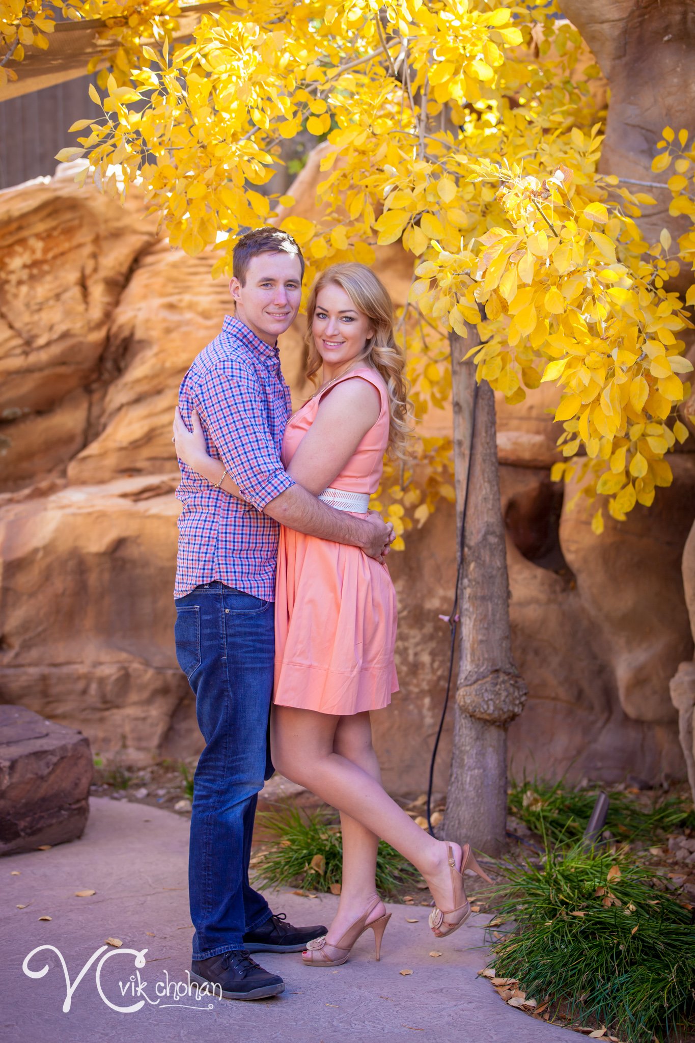Rachel_&_Travis_Engagement-Vik-Chohan-149.jpg
