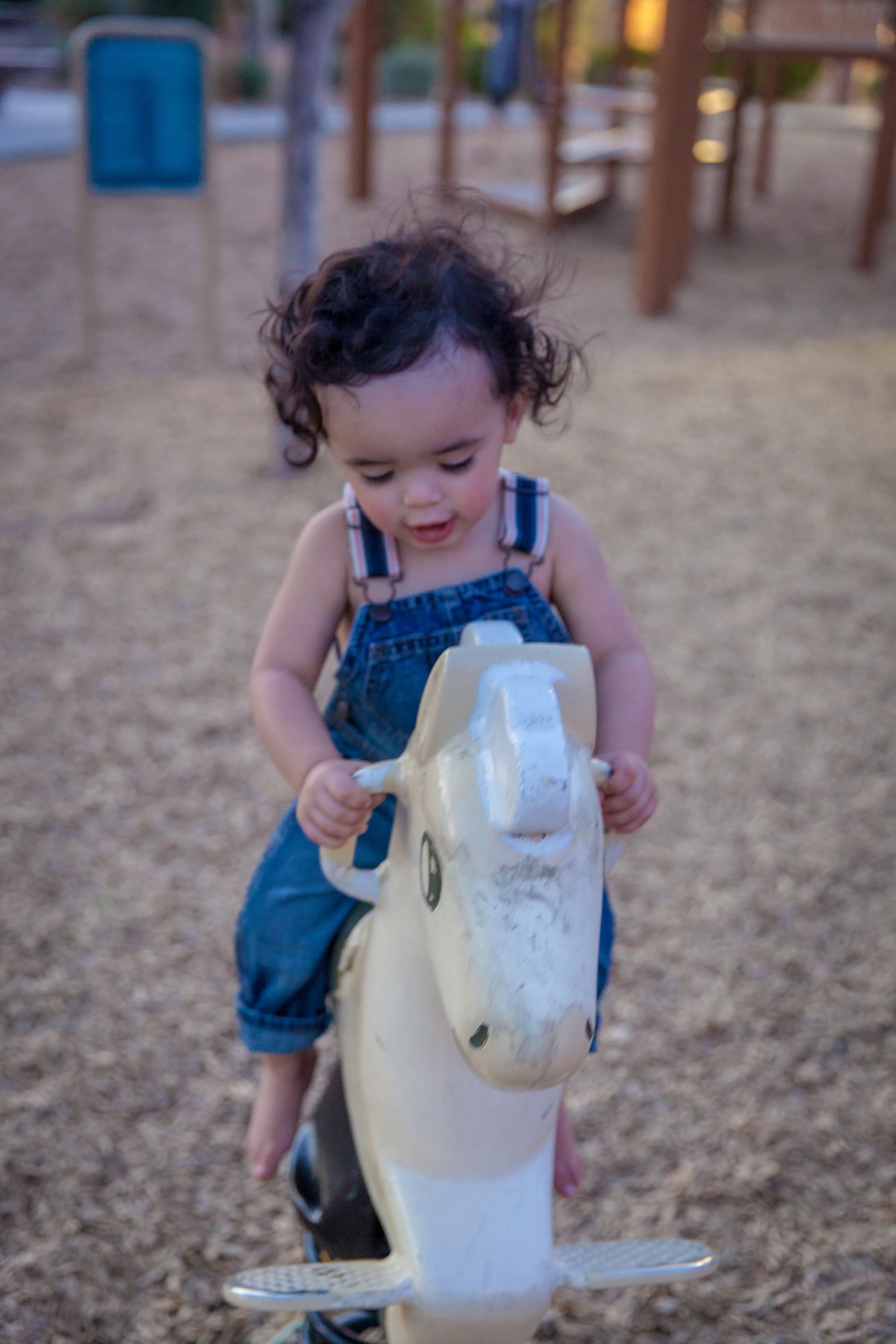 Saldana-Family-Photography-Vik-Chohan-124.jpg