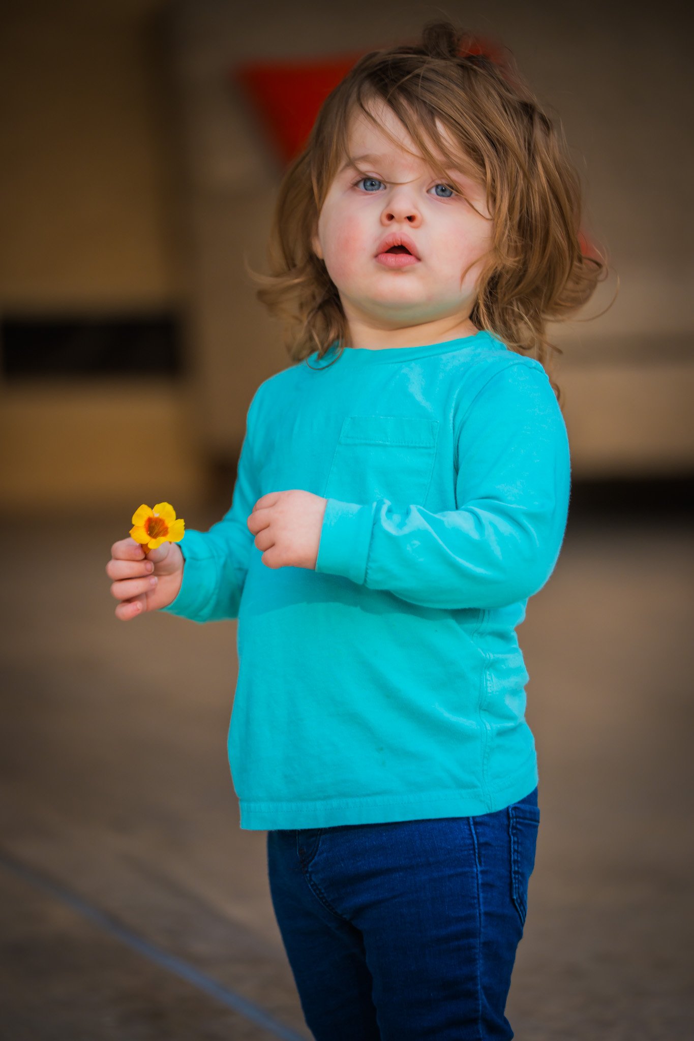 2025-11-22-Courtney-Family-Photography-nov-22nd-2025-Social-Media-232.jpg