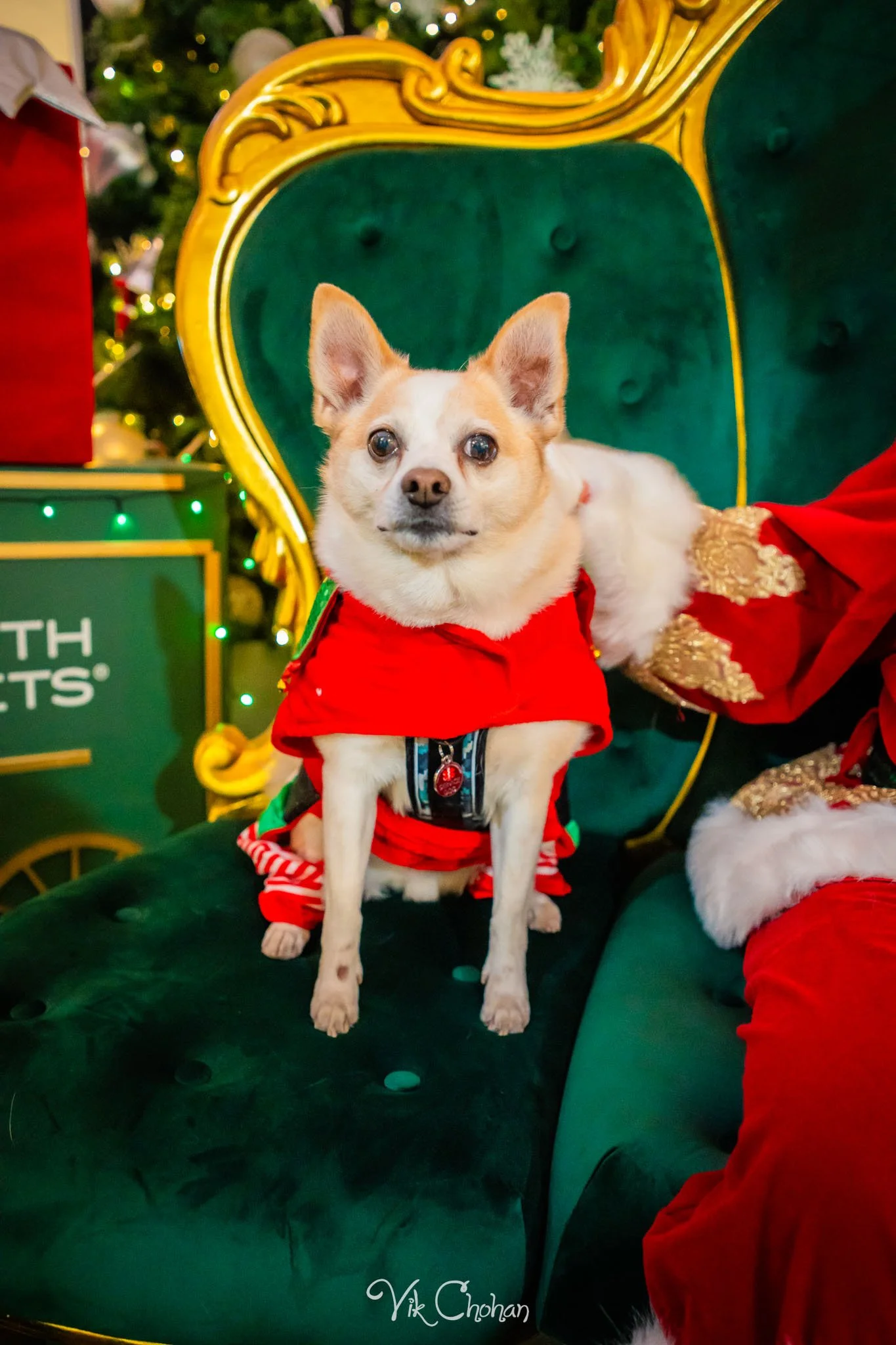 2025-12-10-INTRODeuce-Concierge-Christmas-at-LV-South-Premium-Outlets-2-Vik-Chohan-Photography-Social-Media-VCP-096.jpg