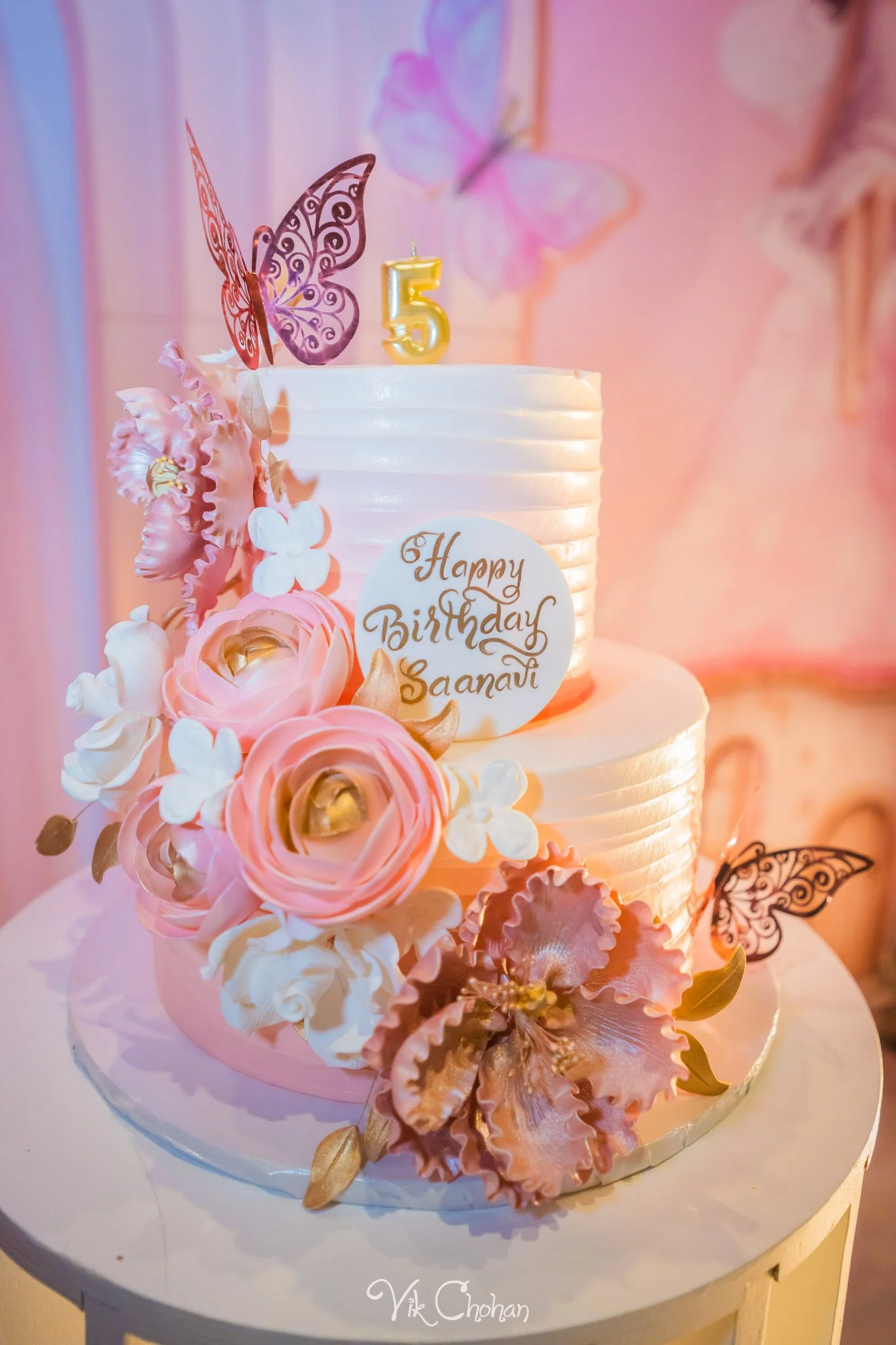 Saanvis 5th Birthday Celebration album 2