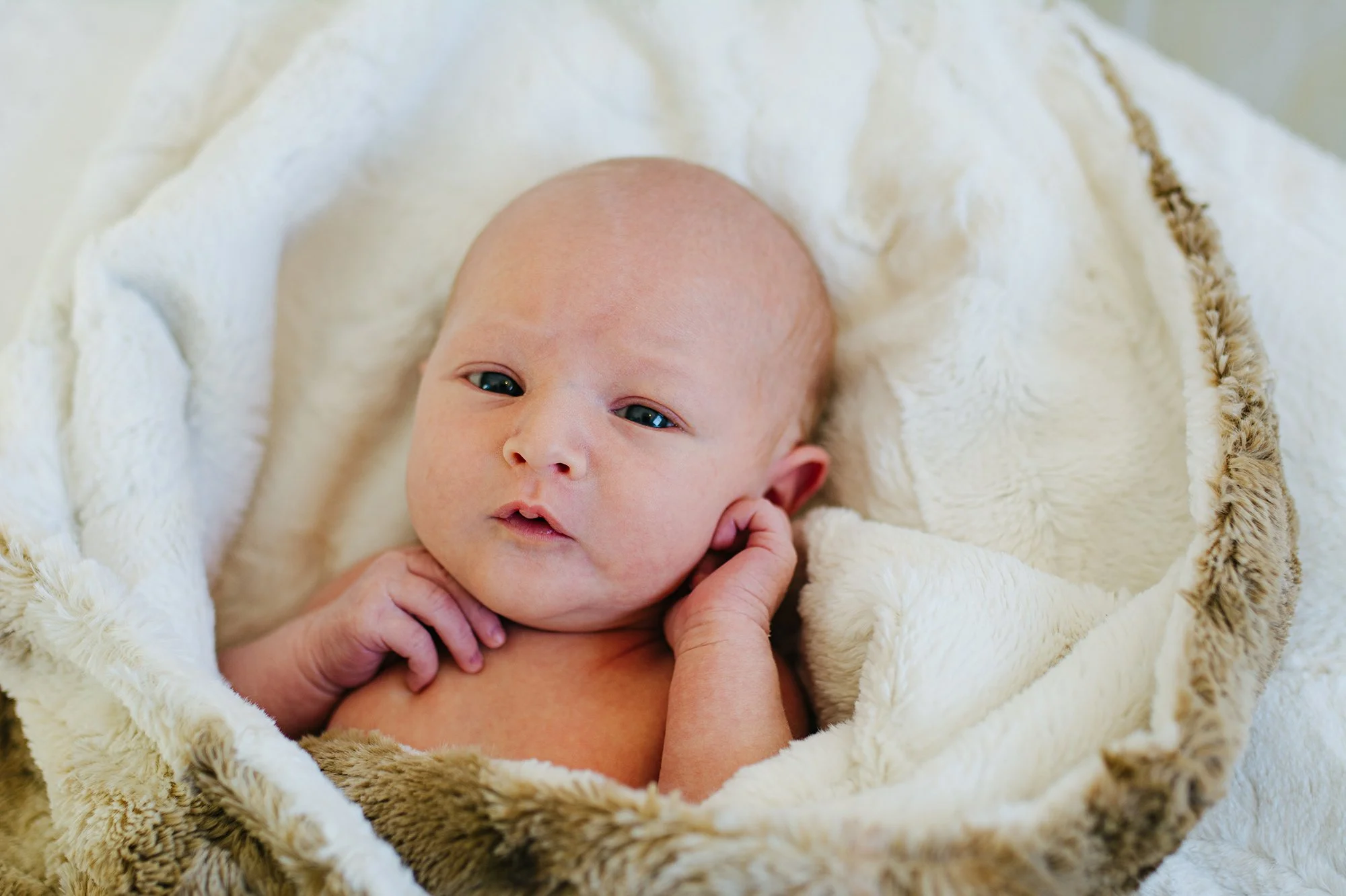 DSC_6784-Edit.jpg