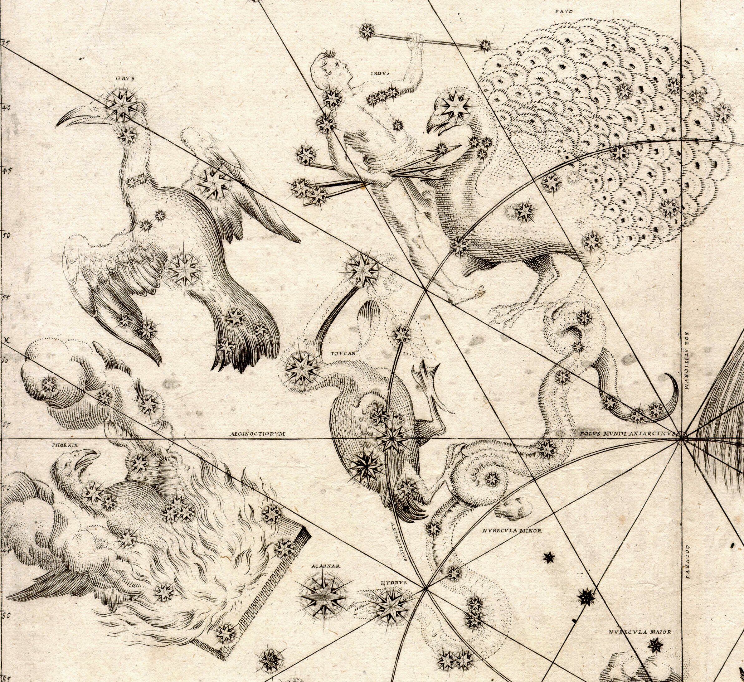 Johann_Bayer_-_Uraniometria_-_Southern_Birds.jpg