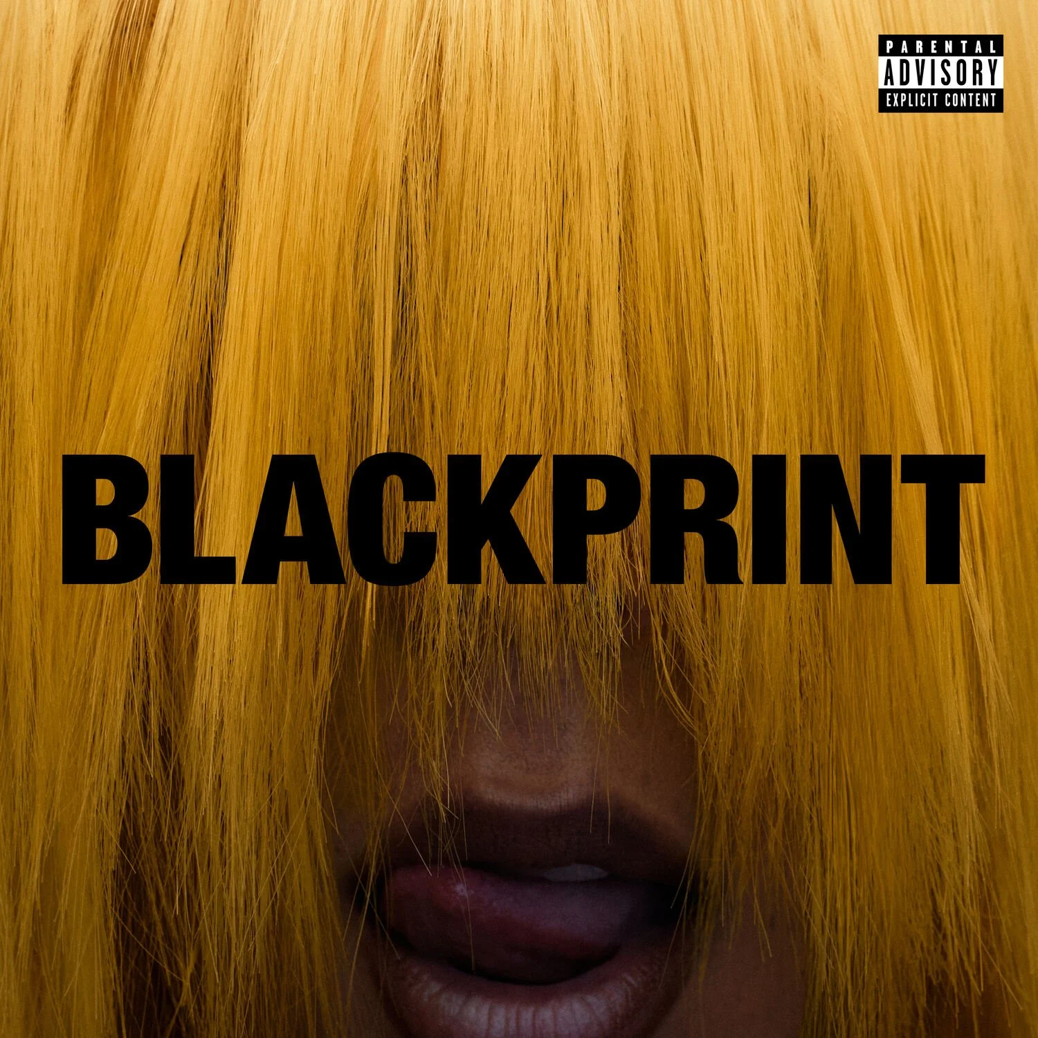 Miss Kaninna – BLACKPRINT (Vinyl)