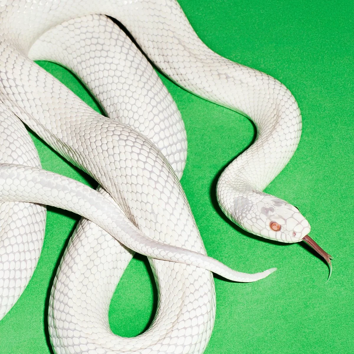 Deftones – Private Music (Vinyl)