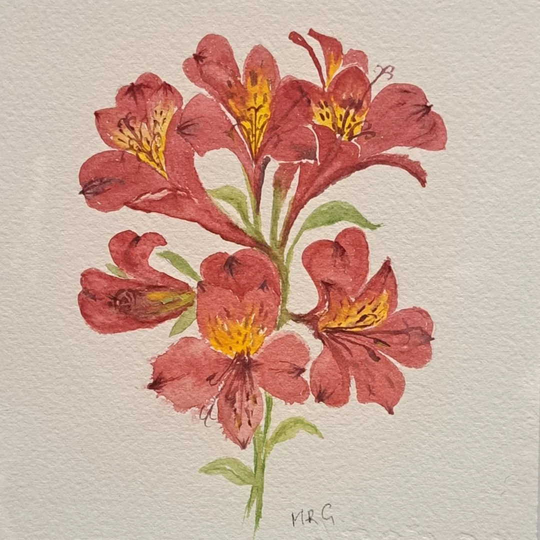 Alstroemeria