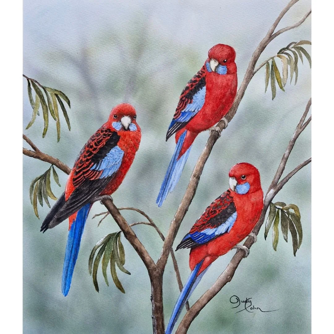 Rosella Gathering