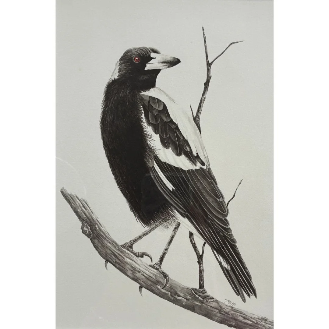 Magpie