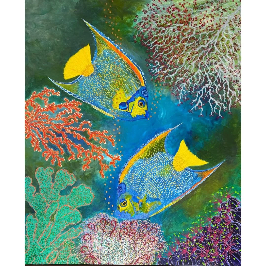 Queen Angelfish