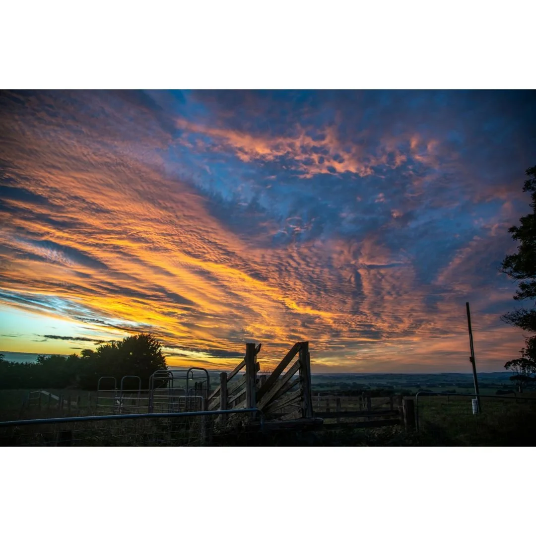 Farmgate Sunset