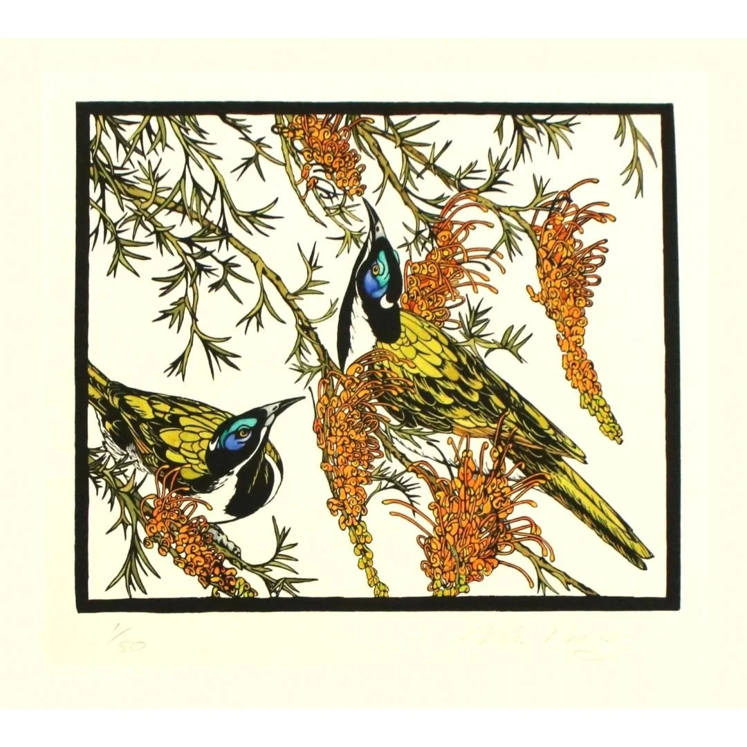 Blue Faced Honeyeaters