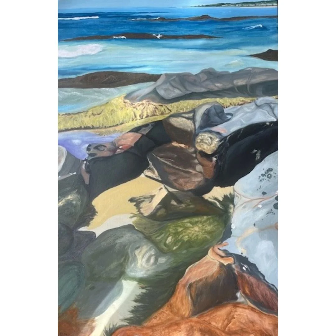 Seaweed Rocks Lorne