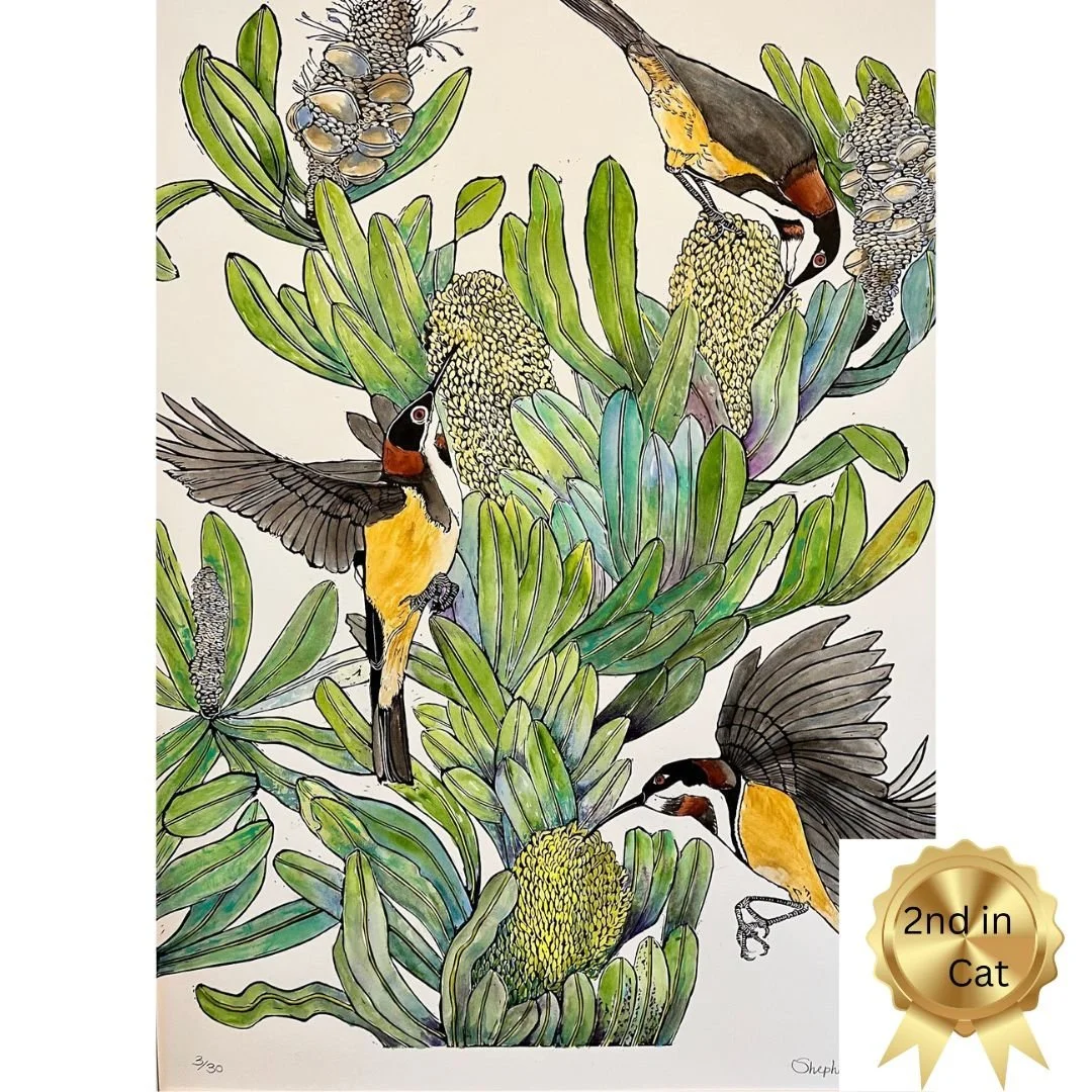 Eastern Spinebill's Morning Feast