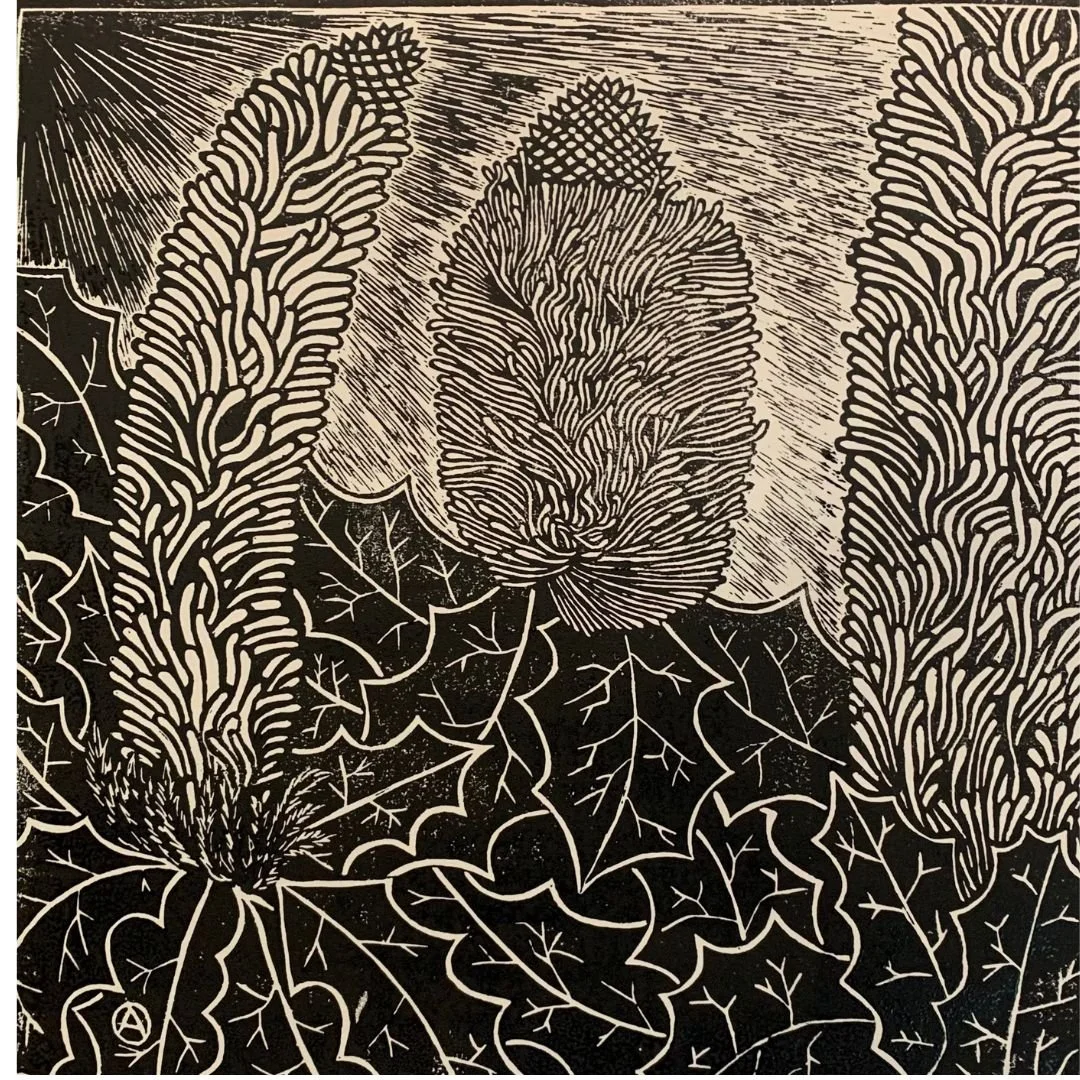 Banksia