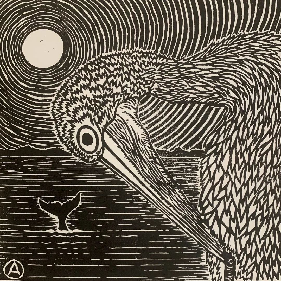 Pelican Dream