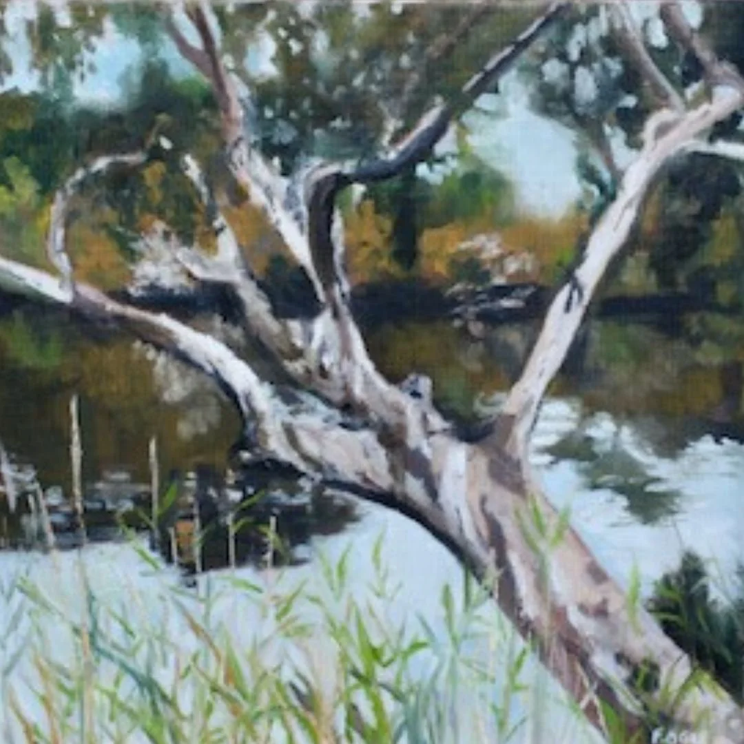 Out on a Limb at the River