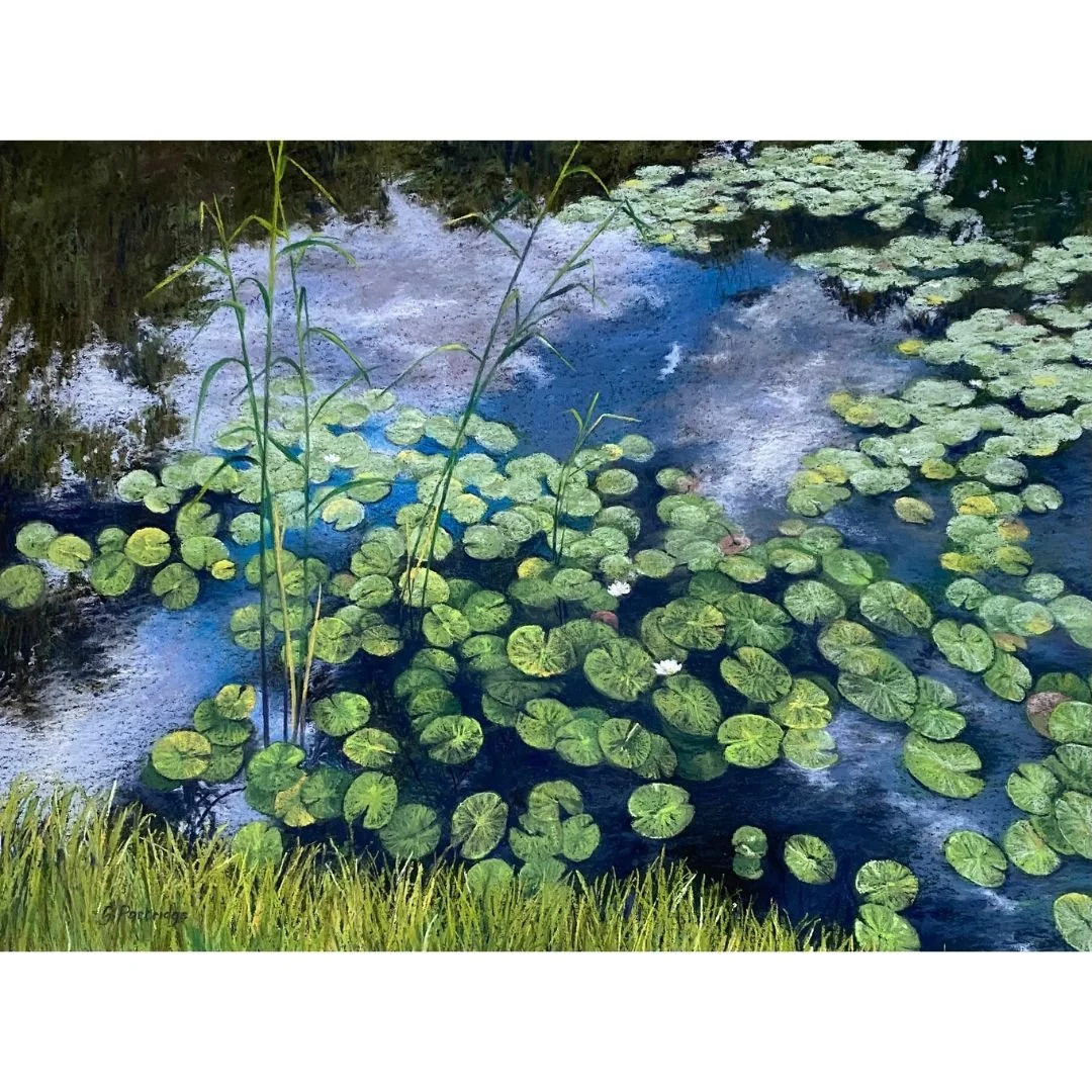 Waterlilies on the Barwon