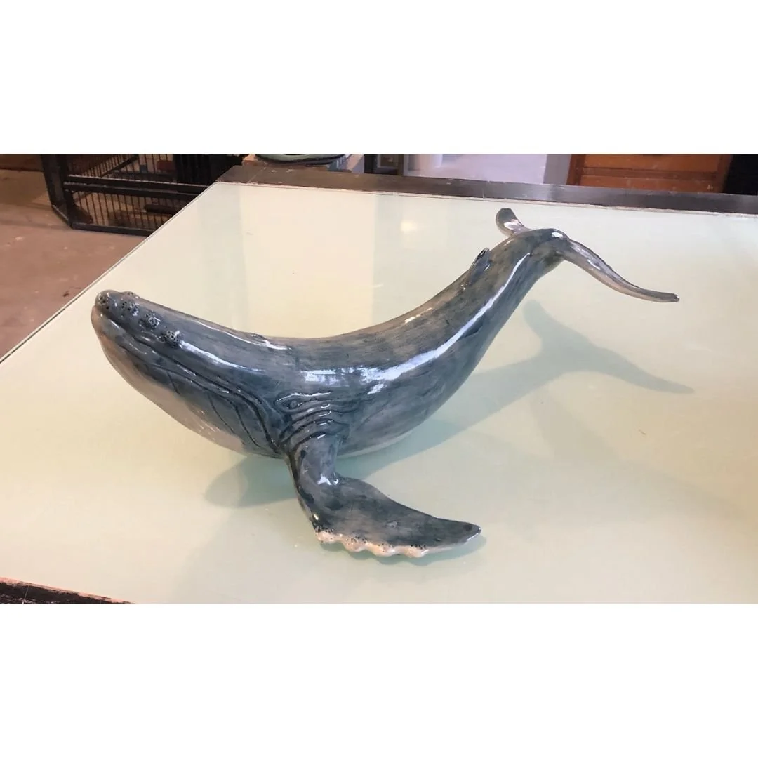 Humpback Whale