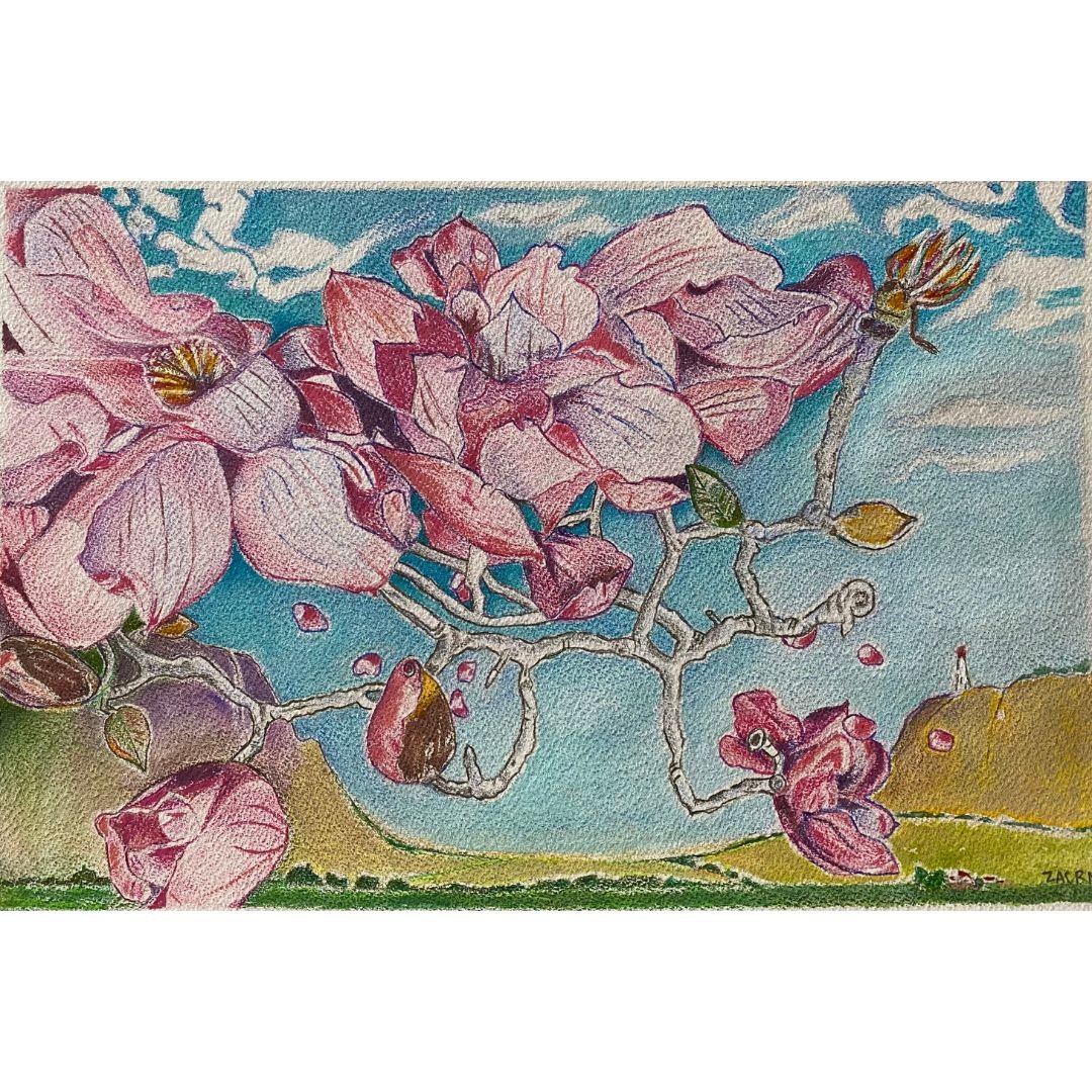 Magnolias in the Sky