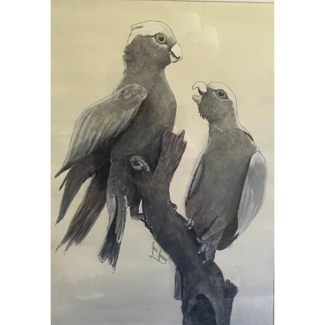 Cheeky Aussie Bugga's