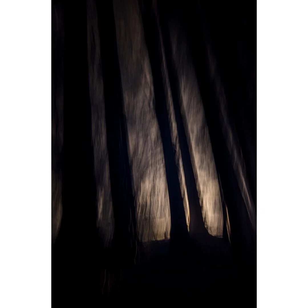 Disturbed Silence