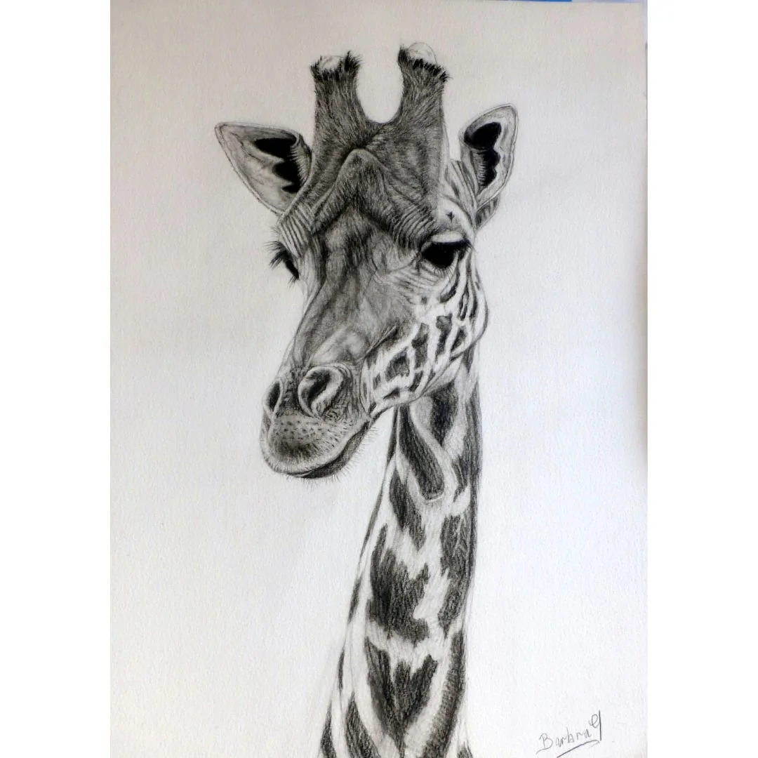 My Favorite Giraffe
