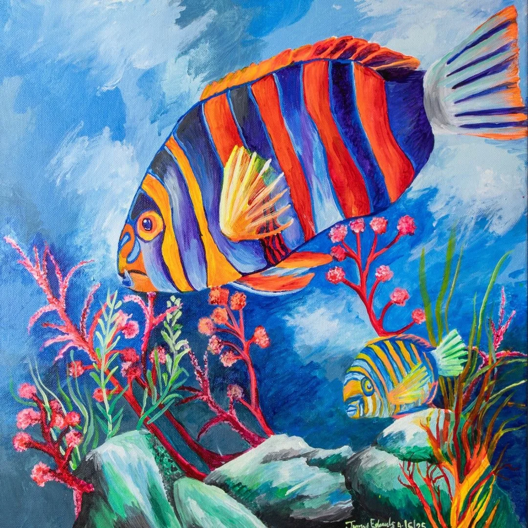 Harlequin Tuskfish