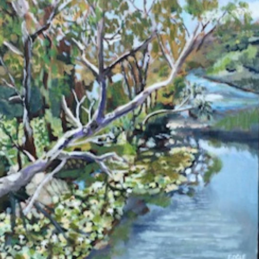 Lily Pads in the Barwon River