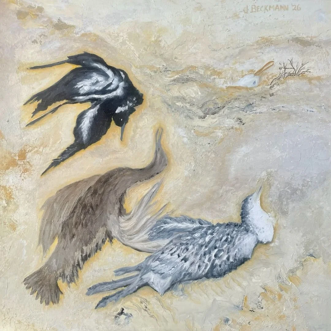 Sea Birds on the Beach