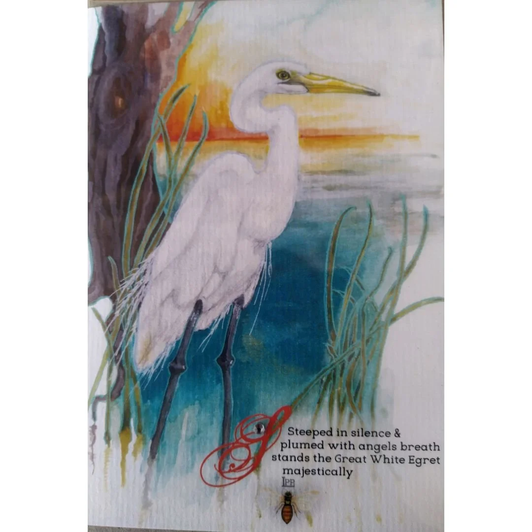 Majestically, The Great White Egret