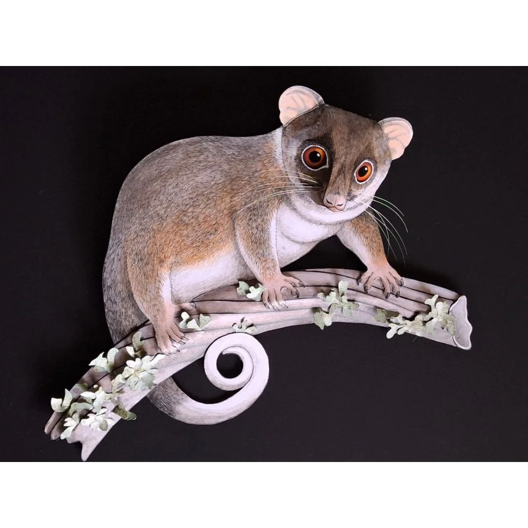 Ringtail