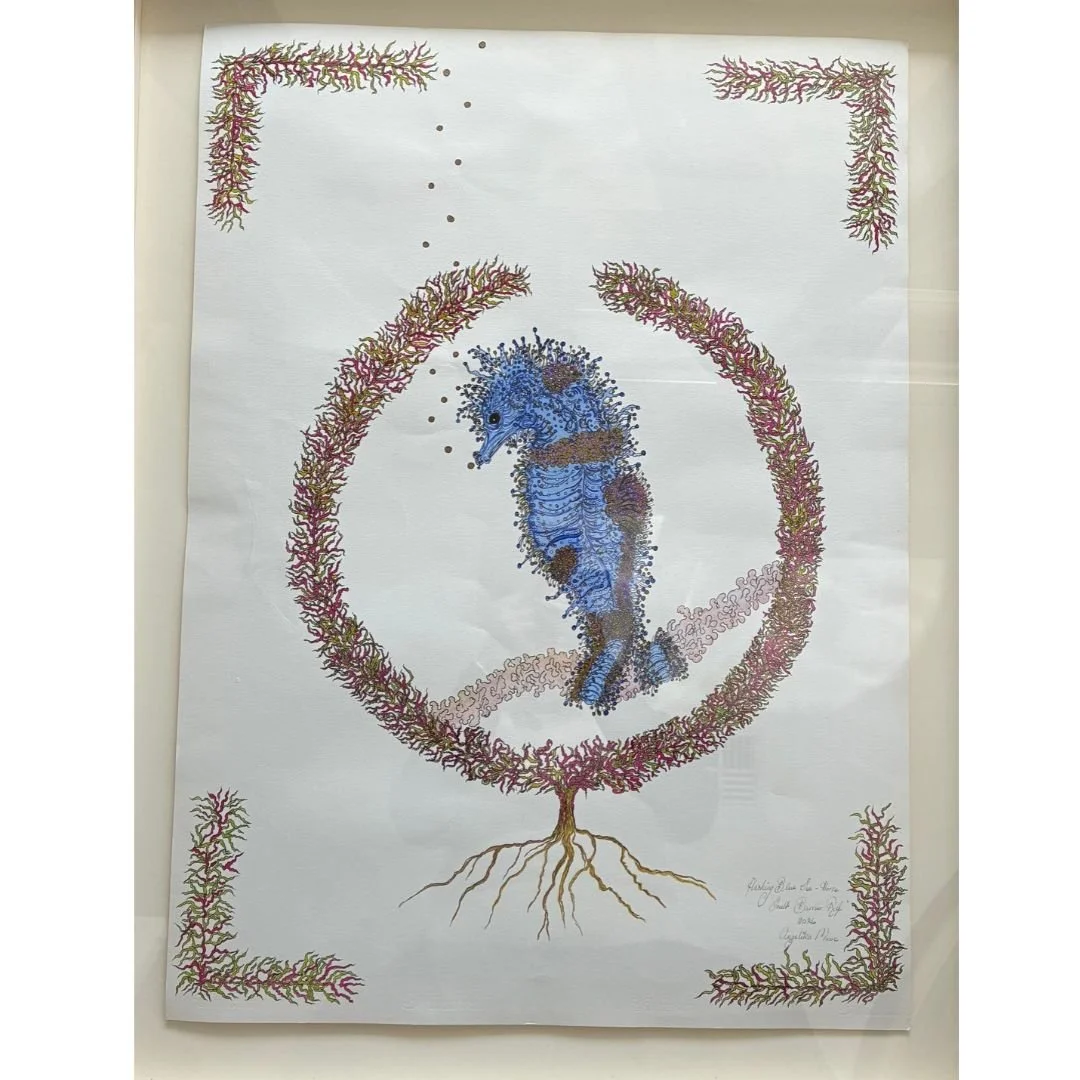Blue Seahorse