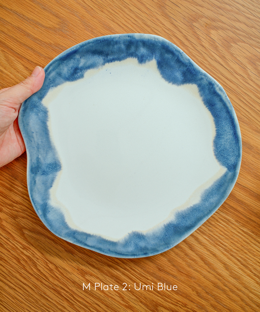 IsshoLabo_MPlate2_UmiBlue.png