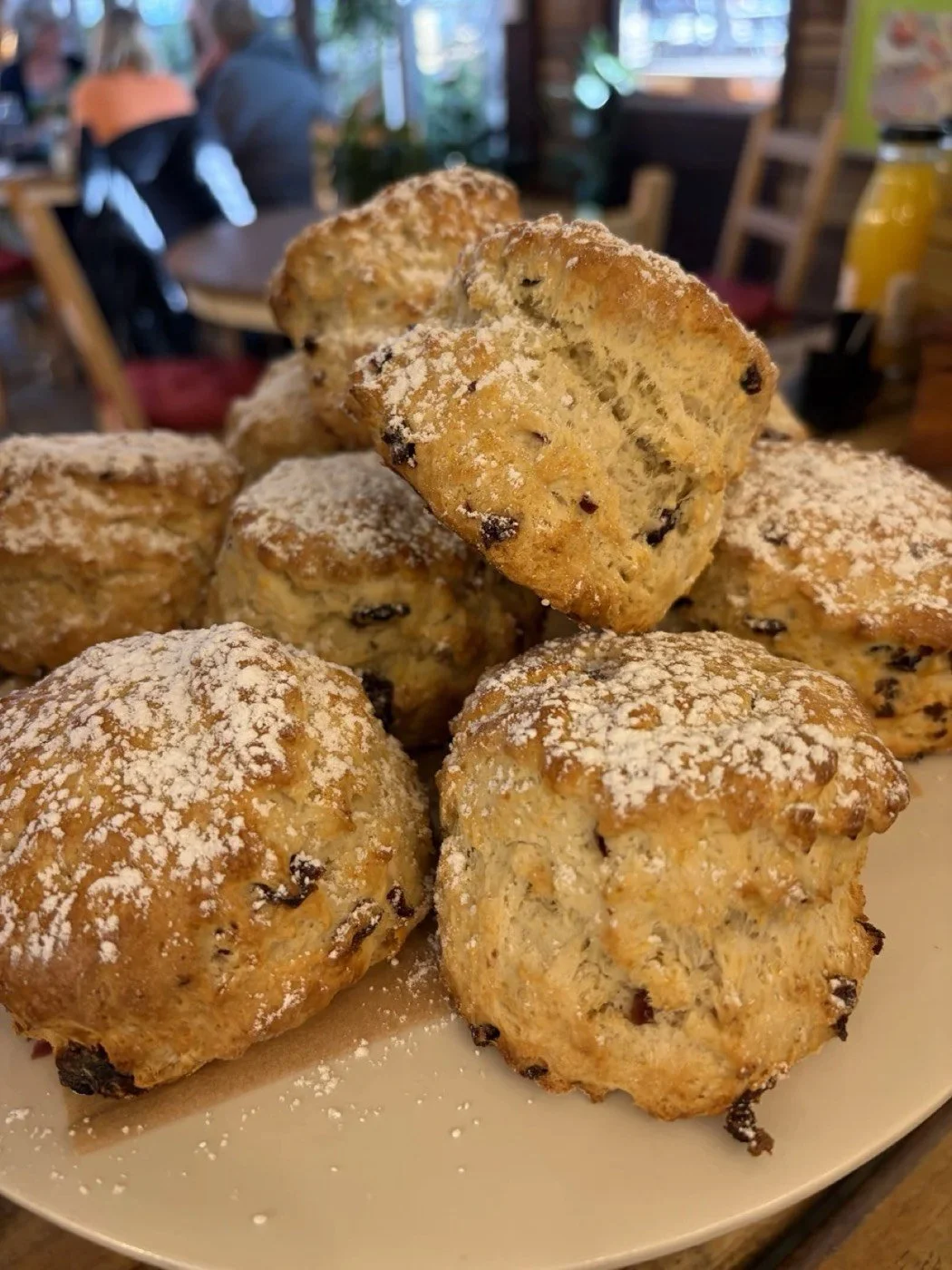 Close-up of baked scones with raisins dusted with powdered sugar, stacked on a white plate in a cozy cafe setting.