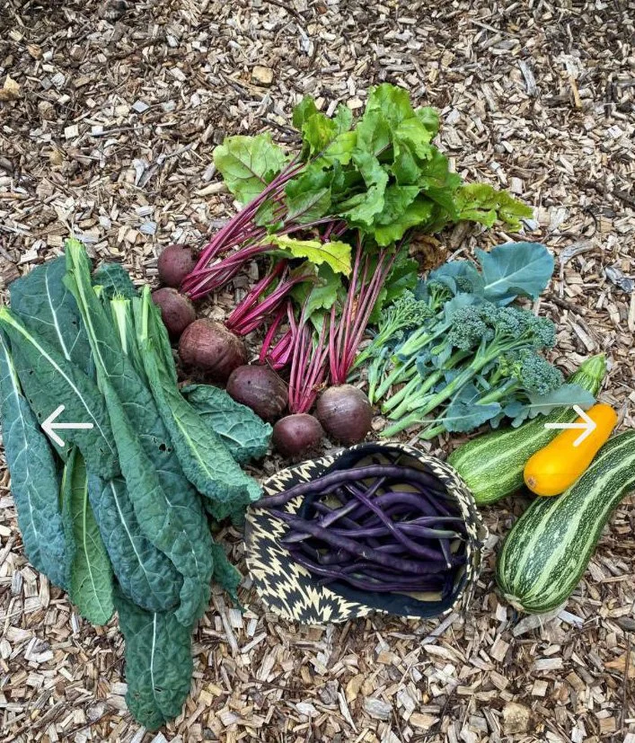 ALLOTMENTS-3.jpg
