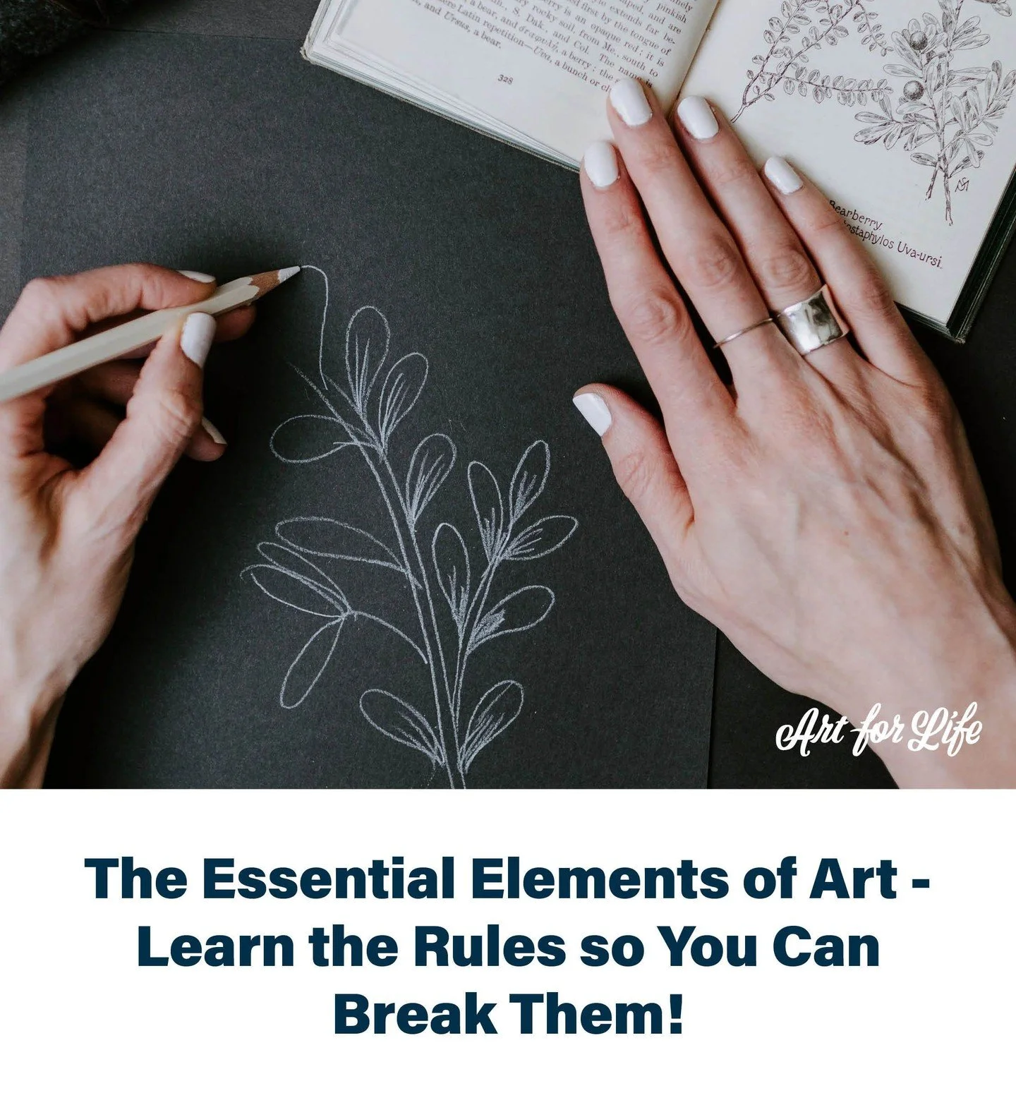 Any piece of visual art has seven essential things: line, shape, form, value, colour, space and texture. You probably use these without thinking, but it&rsquo;s worth knowing about the different ways in which you can use them to great effect. Discove