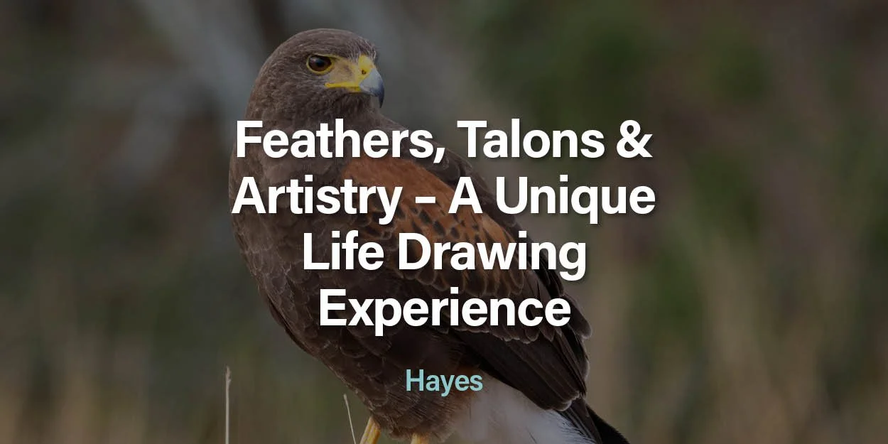 ART-COURSES-LIFE-DRAWING-BIRDS.jpg