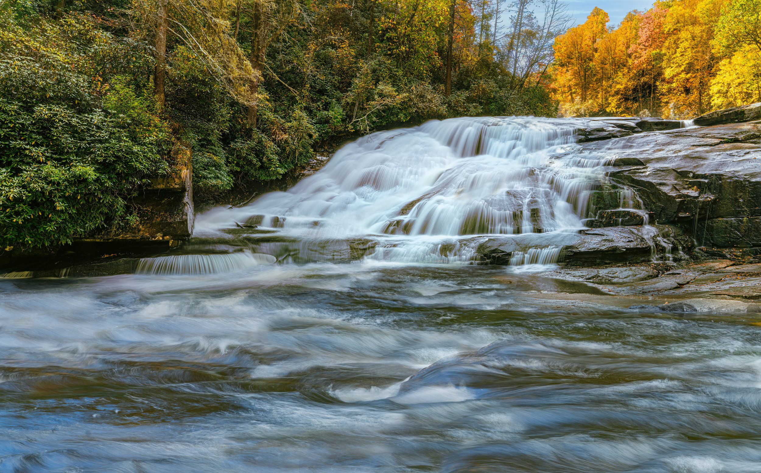20211021-_DSC5334-Edit-2-Edit-Edit-Edit-Edit-Edit.jpg