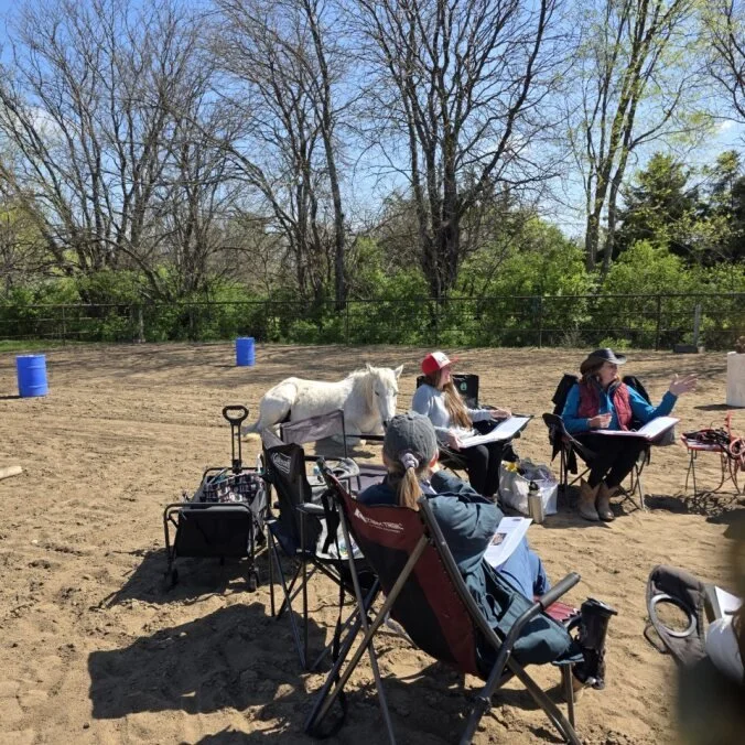 2026 Spring PEACE™ Facilitator Certification