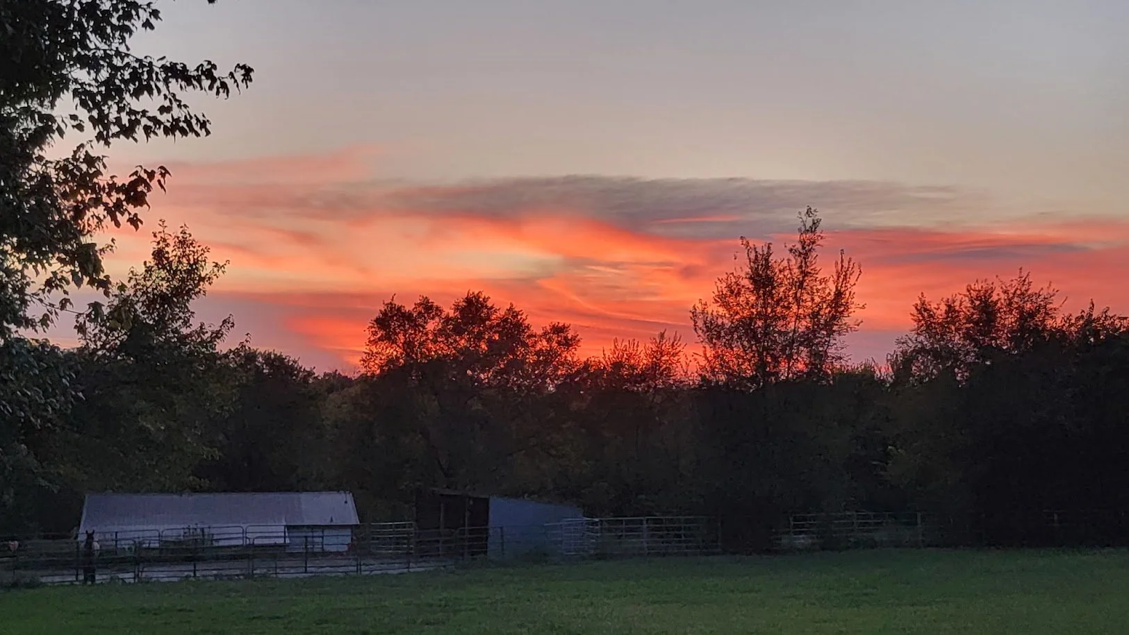 Worship Night in the Pasture