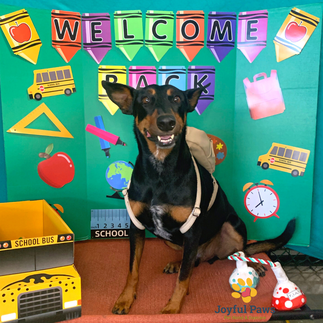 4cf91572-ca2e-4f9c-af12-5f7a2a452ab3-Untitled design-8.png