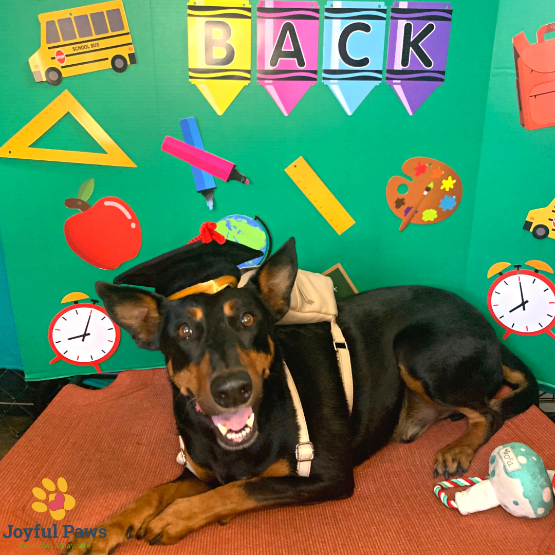 46635299-c2f2-4628-952d-9b8b52ac9a9e-Untitled design-9.png