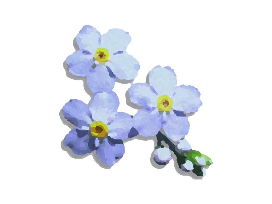 Forget-Me-Not Grave Tending Services