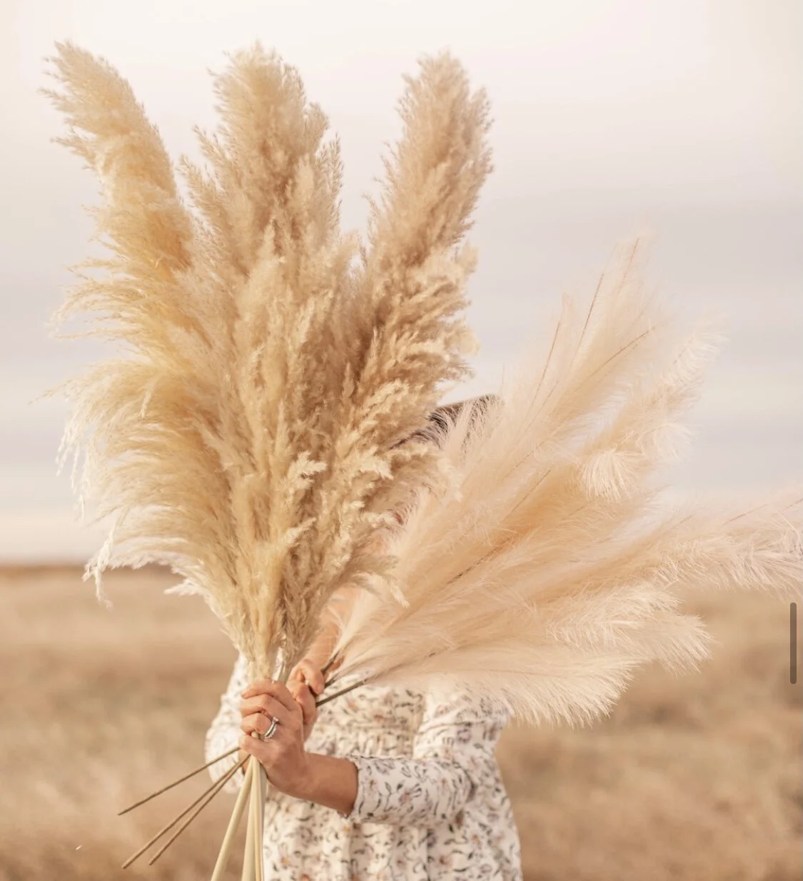 2021 Wedding Trend: Pampas Grass for Weddings and Events